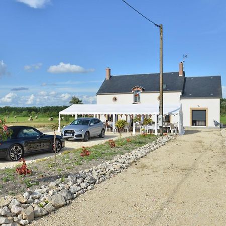 La Crotiniere Villa Marmagne  Bagian luar foto